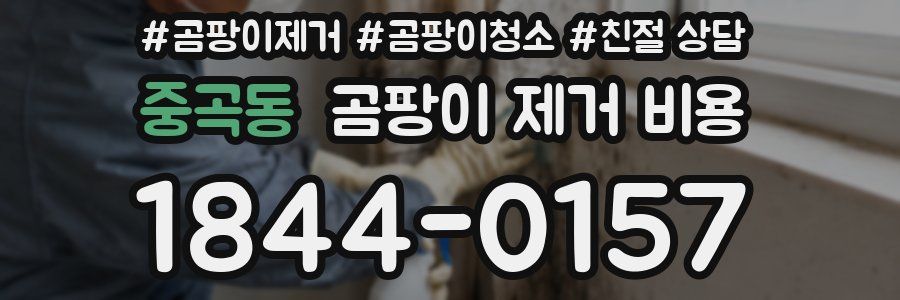 중곡동 곰팡이 제거 비용