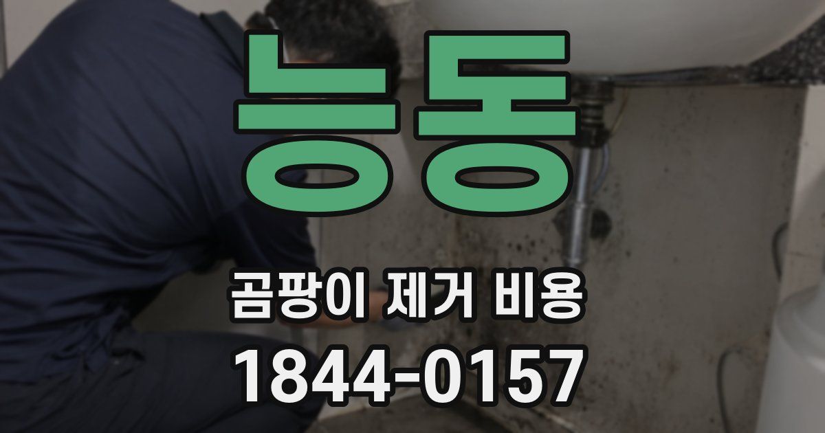 능동 곰팡이 제거 비용