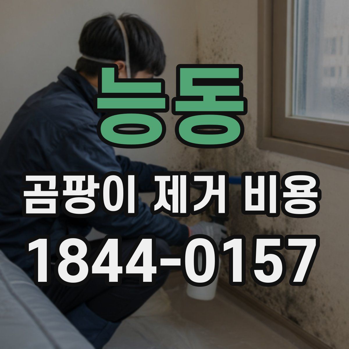 능동 곰팡이 제거 비용
