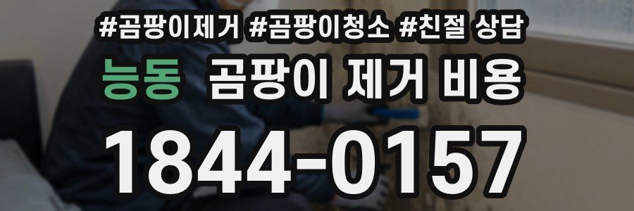 능동 곰팡이 제거 비용