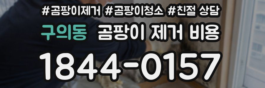 구의동 곰팡이 제거 비용