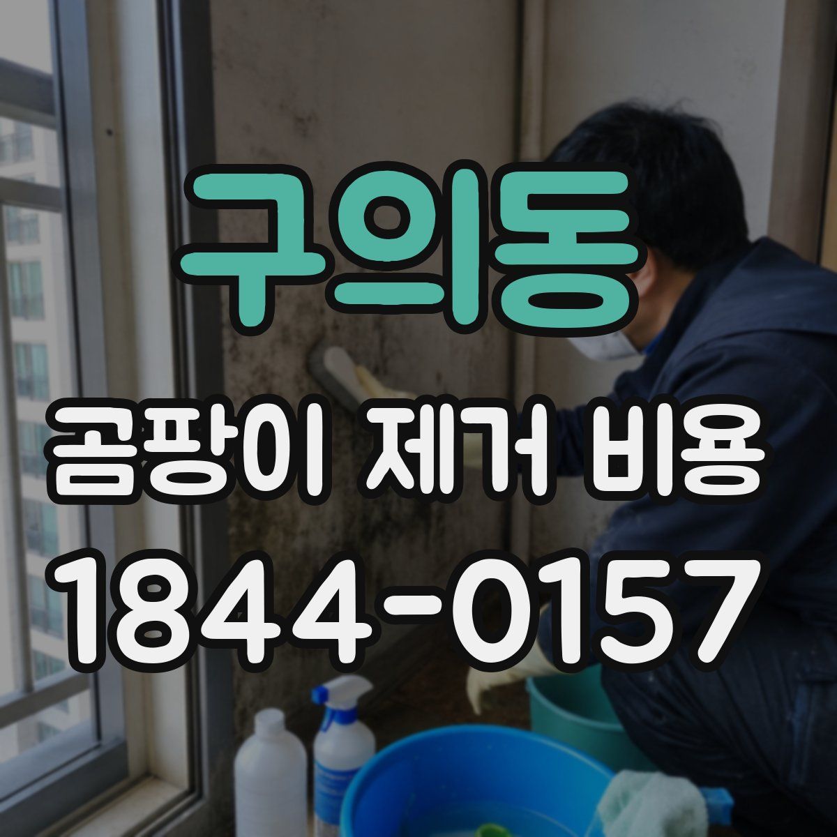 구의동 곰팡이 제거 비용