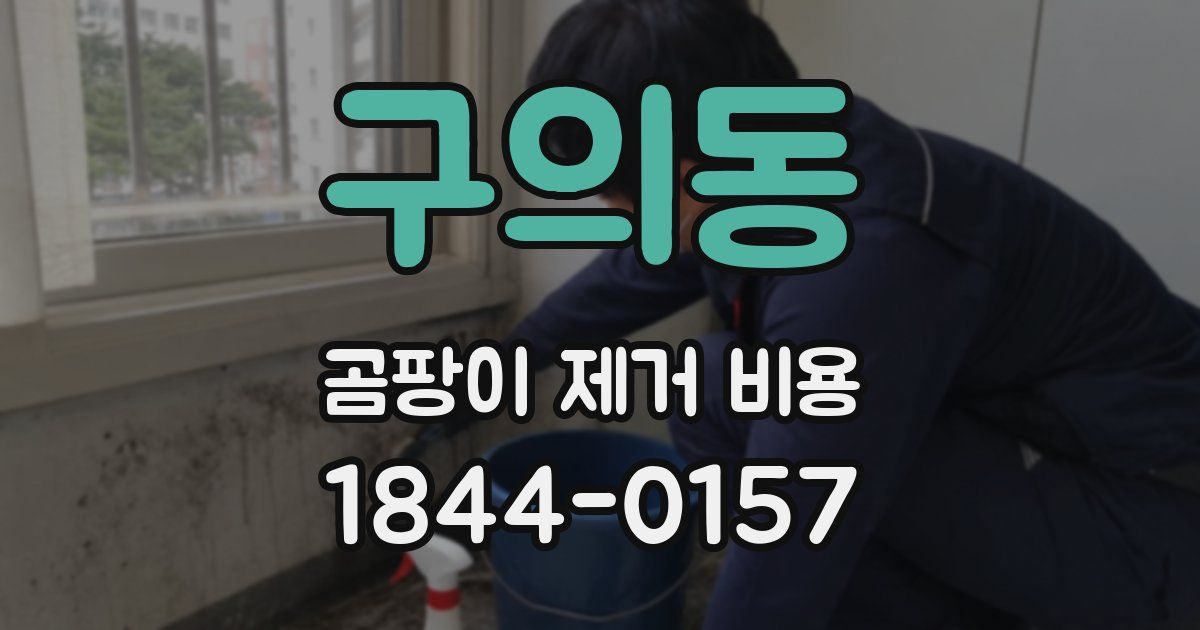 구의동 곰팡이 제거 비용