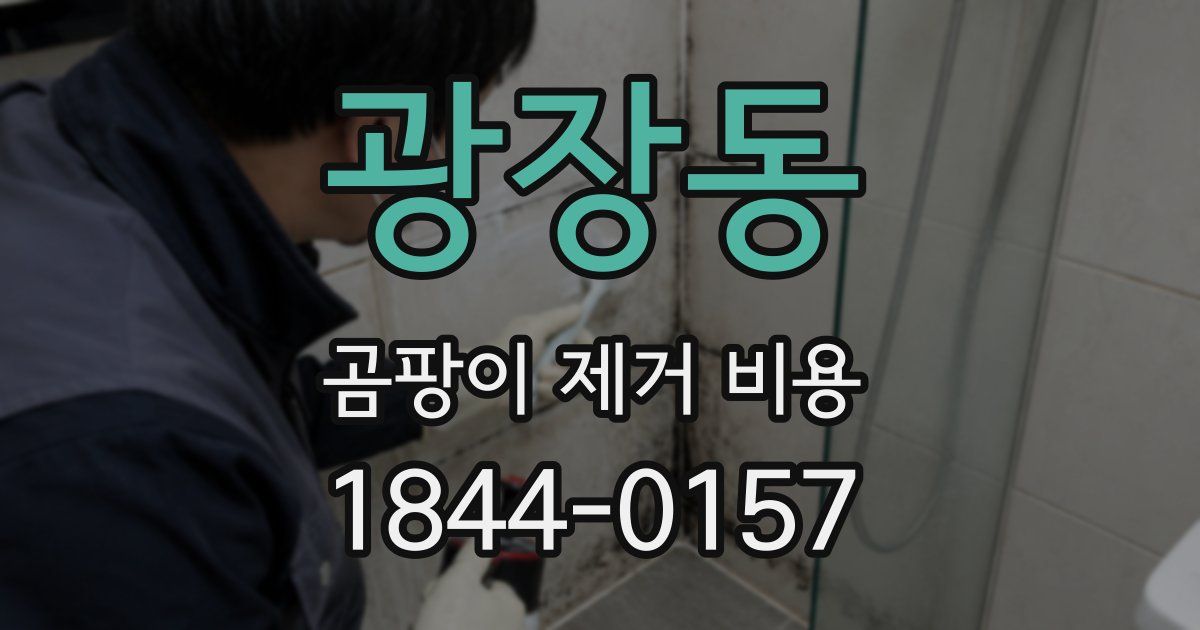 광장동 곰팡이 제거 비용