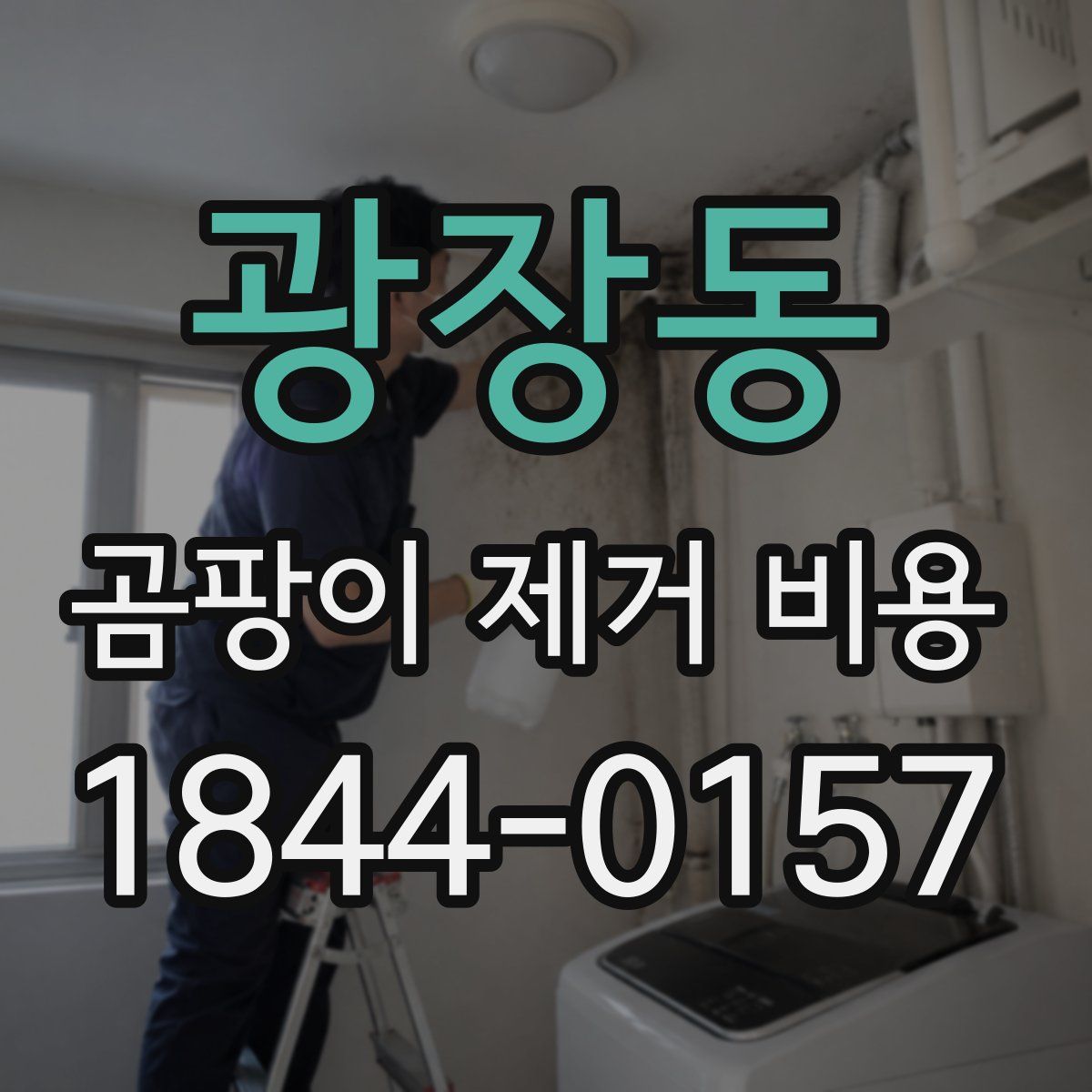 광장동 곰팡이 제거 비용