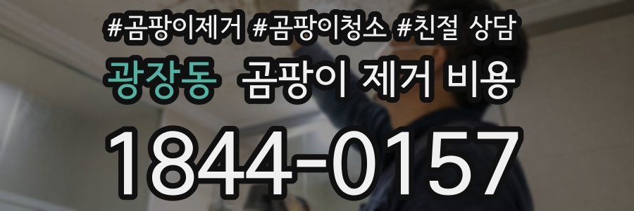 광장동 곰팡이 제거 비용
