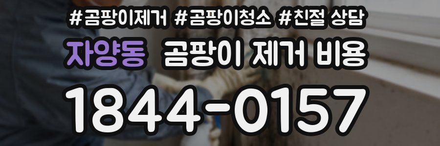 자양동 곰팡이 제거 비용