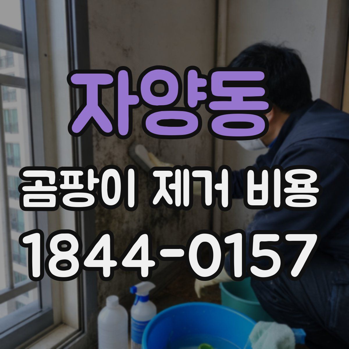 자양동 곰팡이 제거 비용