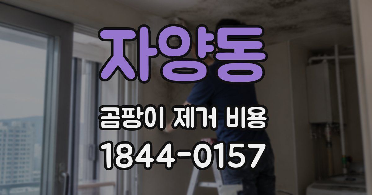 자양동 곰팡이 제거 비용
