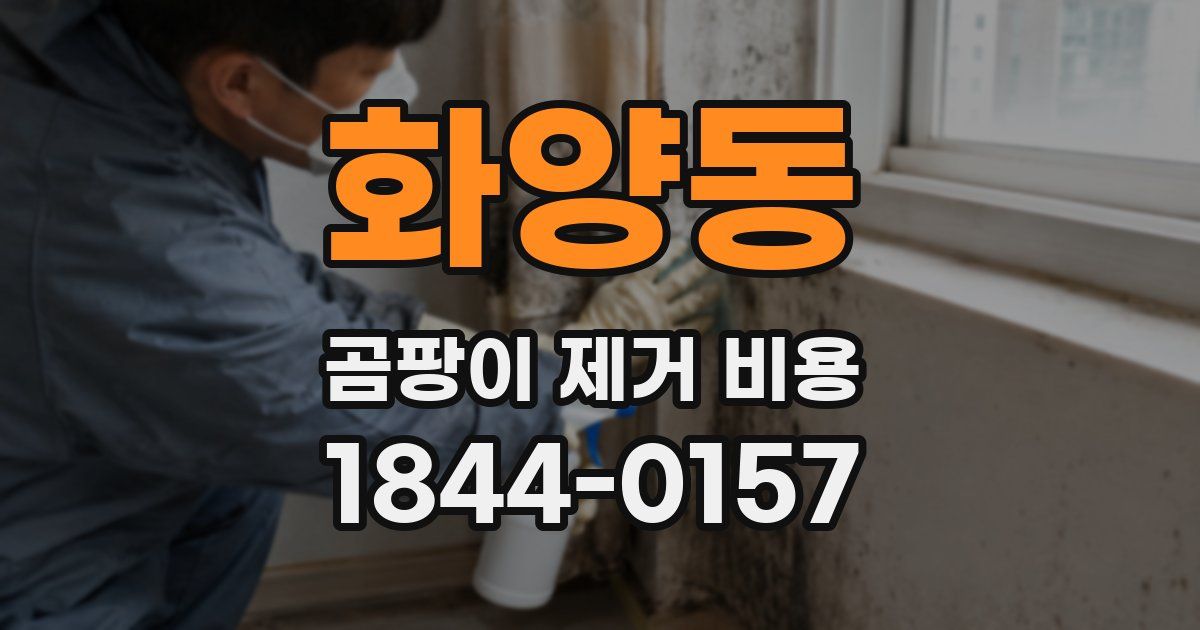 화양동 곰팡이 제거 비용