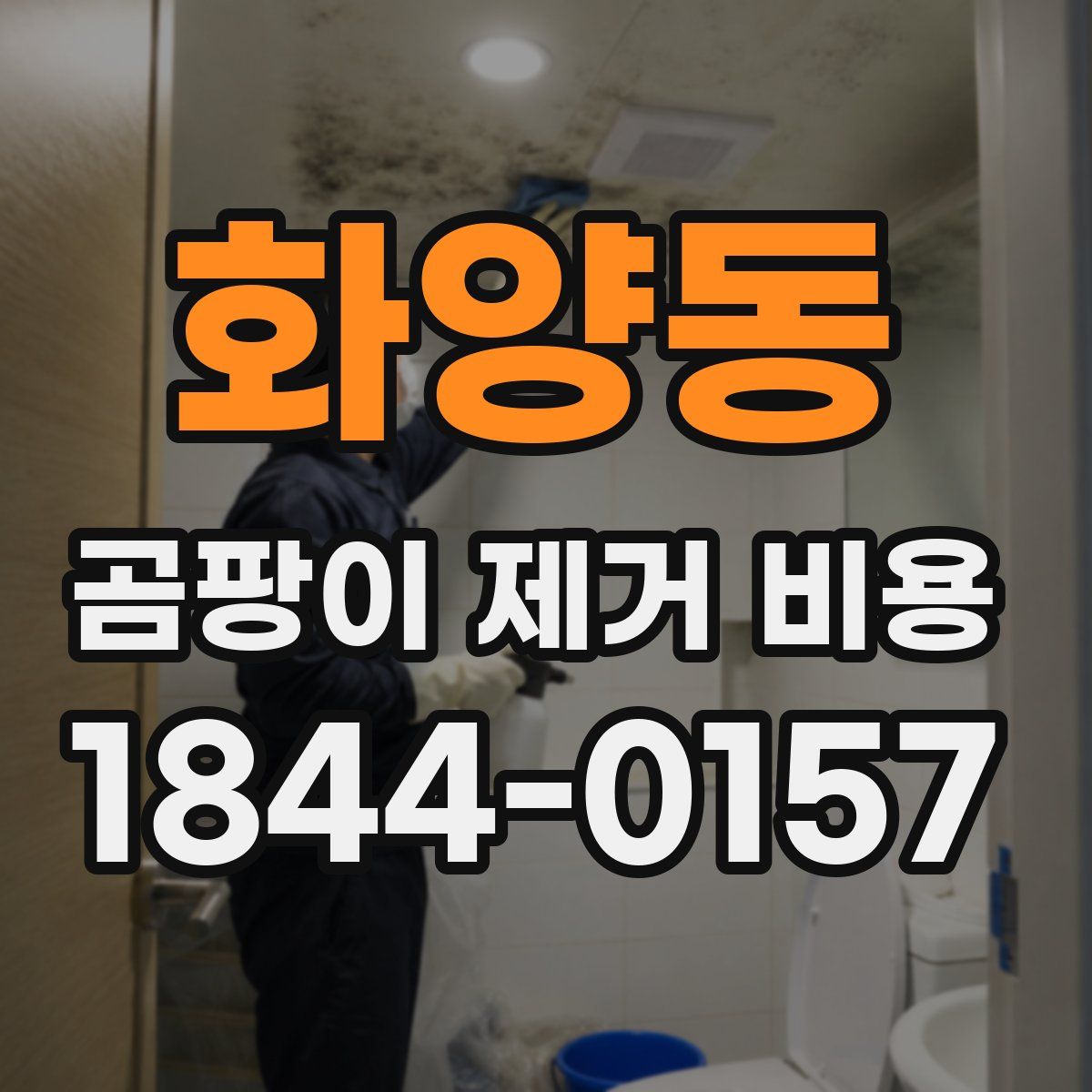 화양동 곰팡이 제거 비용