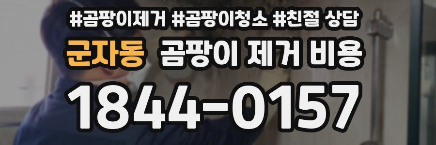 군자동 곰팡이 제거 비용