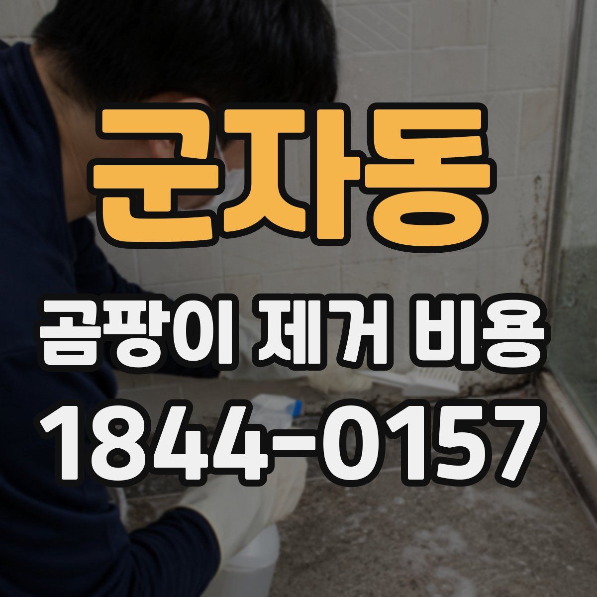 군자동 곰팡이 제거 비용