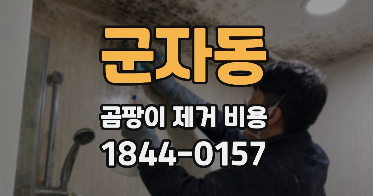 군자동 곰팡이 제거 비용