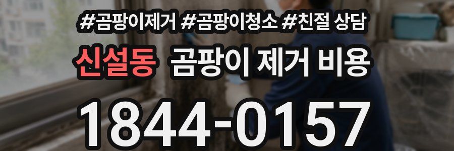 신설동 곰팡이 제거 비용