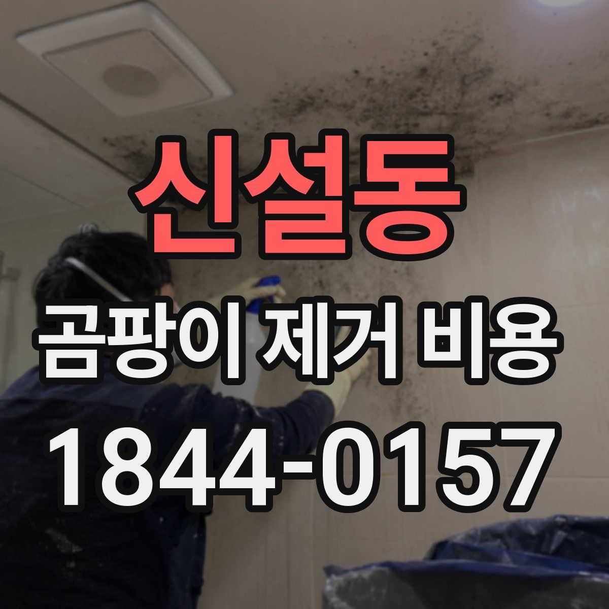 신설동 곰팡이 제거 비용