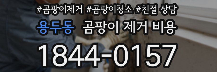 용두동 곰팡이 제거 비용