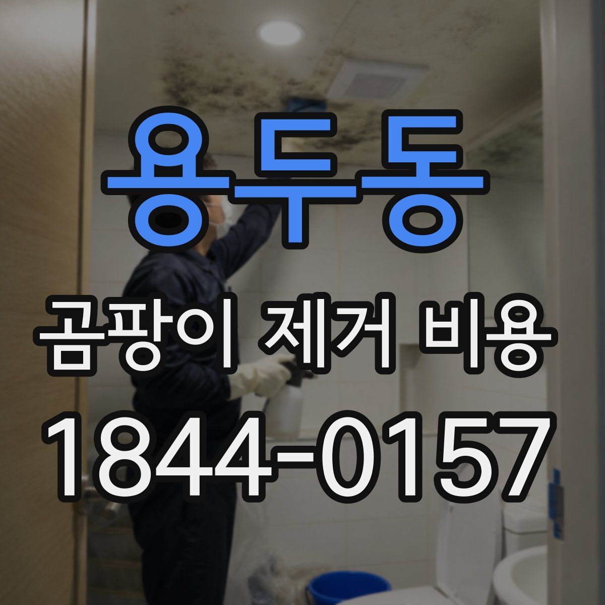 용두동 곰팡이 제거 비용