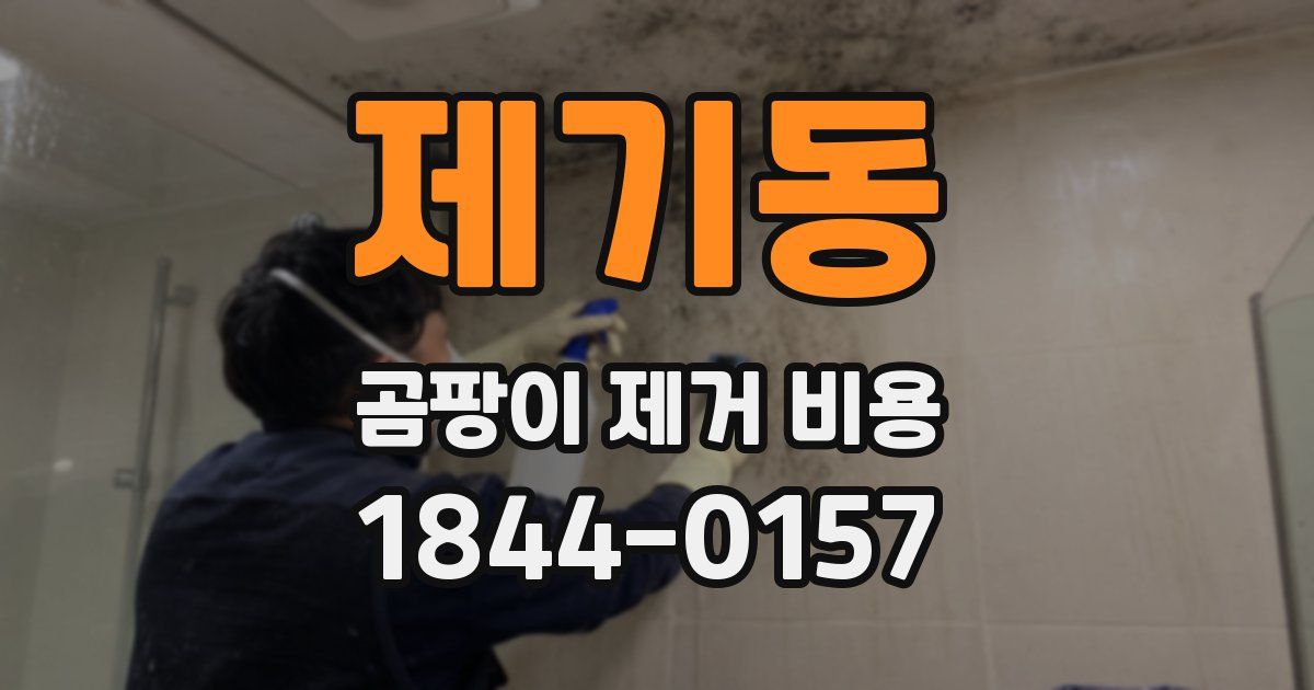 제기동 곰팡이 제거 비용