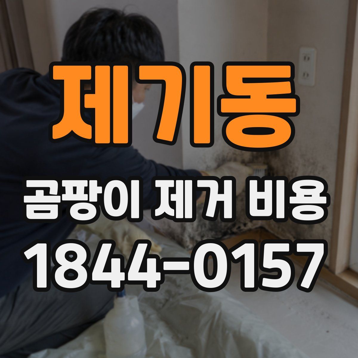 제기동 곰팡이 제거 비용