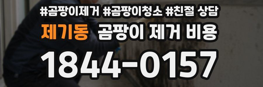 제기동 곰팡이 제거 비용