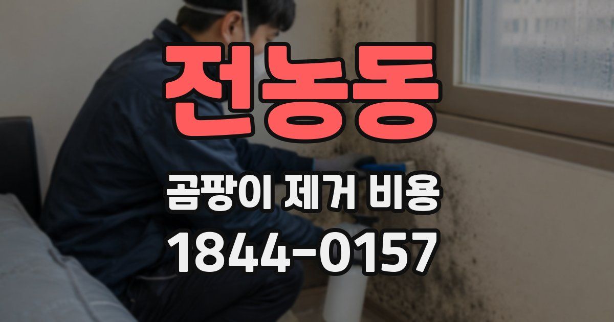 전농동 곰팡이 제거 비용