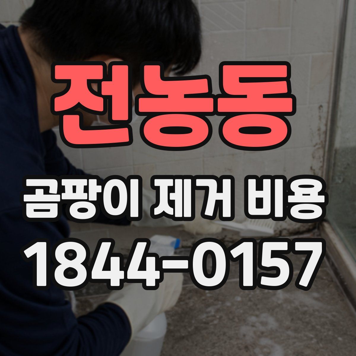 전농동 곰팡이 제거 비용