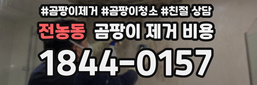 전농동 곰팡이 제거 비용