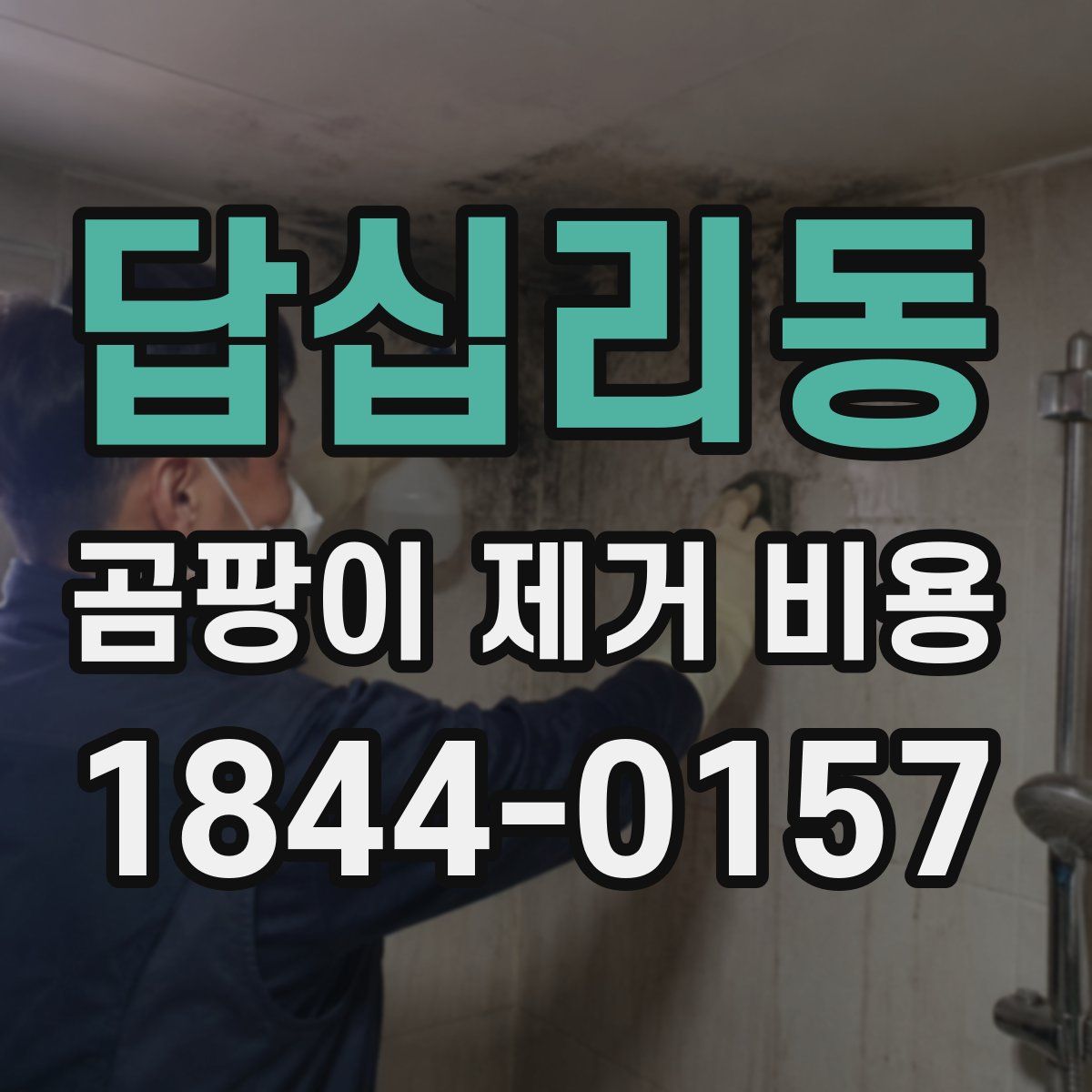 답십리동 곰팡이 제거 비용