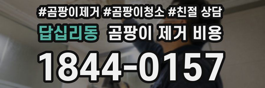 답십리동 곰팡이 제거 비용