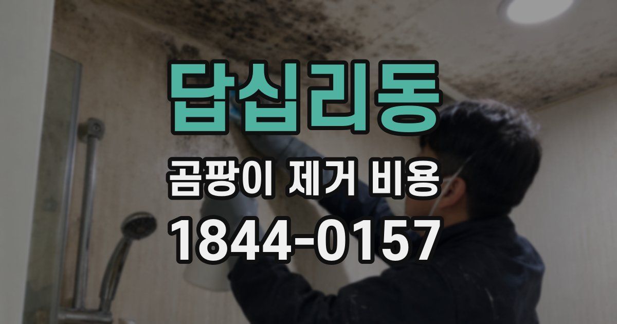 답십리동 곰팡이 제거 비용