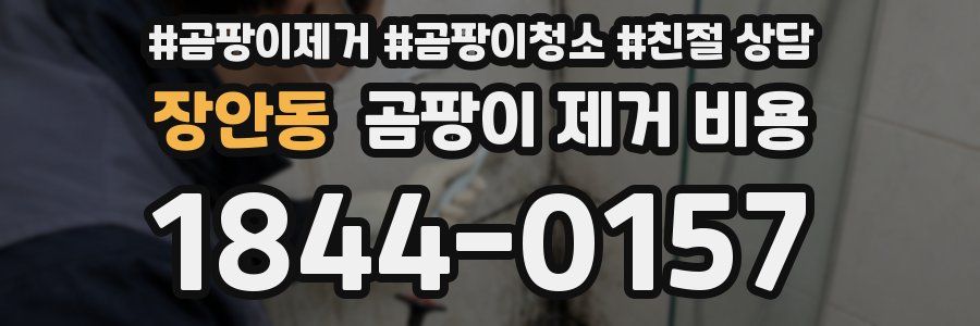 장안동 곰팡이 제거 비용