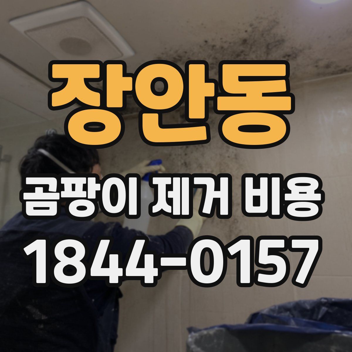 장안동 곰팡이 제거 비용