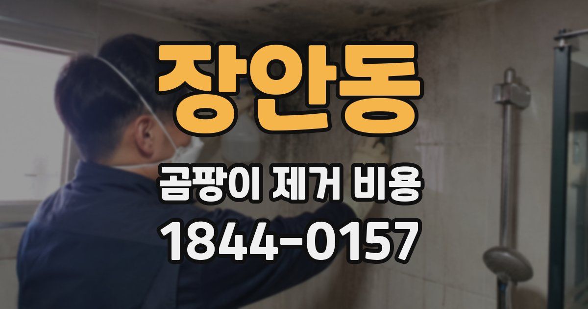 장안동 곰팡이 제거 비용