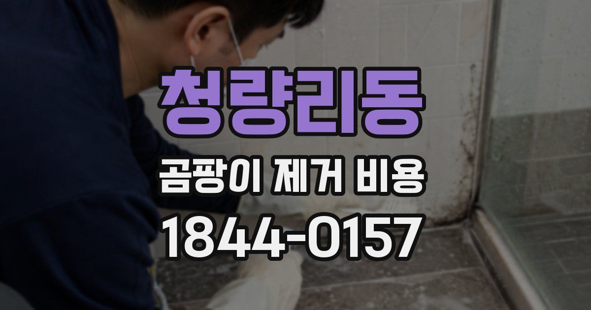 청량리동 곰팡이 제거 비용