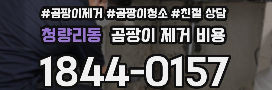 청량리동 곰팡이 제거 비용