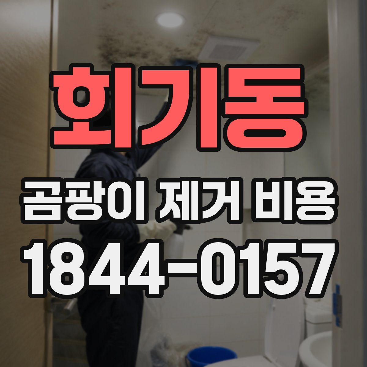 회기동 곰팡이 제거 비용