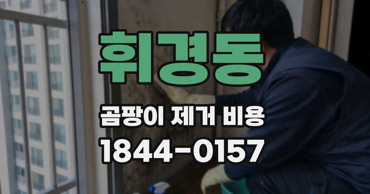 휘경동 곰팡이 제거 비용