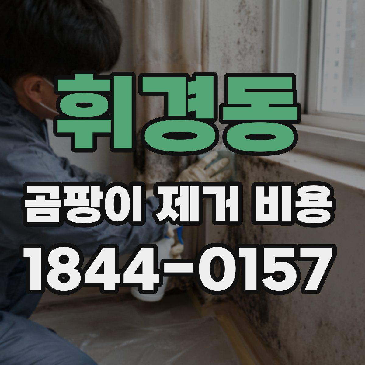 휘경동 곰팡이 제거 비용