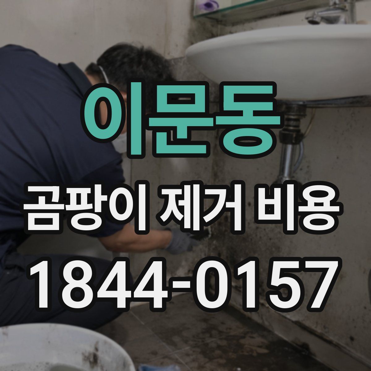 이문동 곰팡이 제거 비용