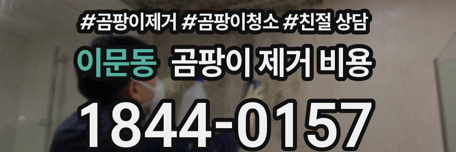 이문동 곰팡이 제거 비용