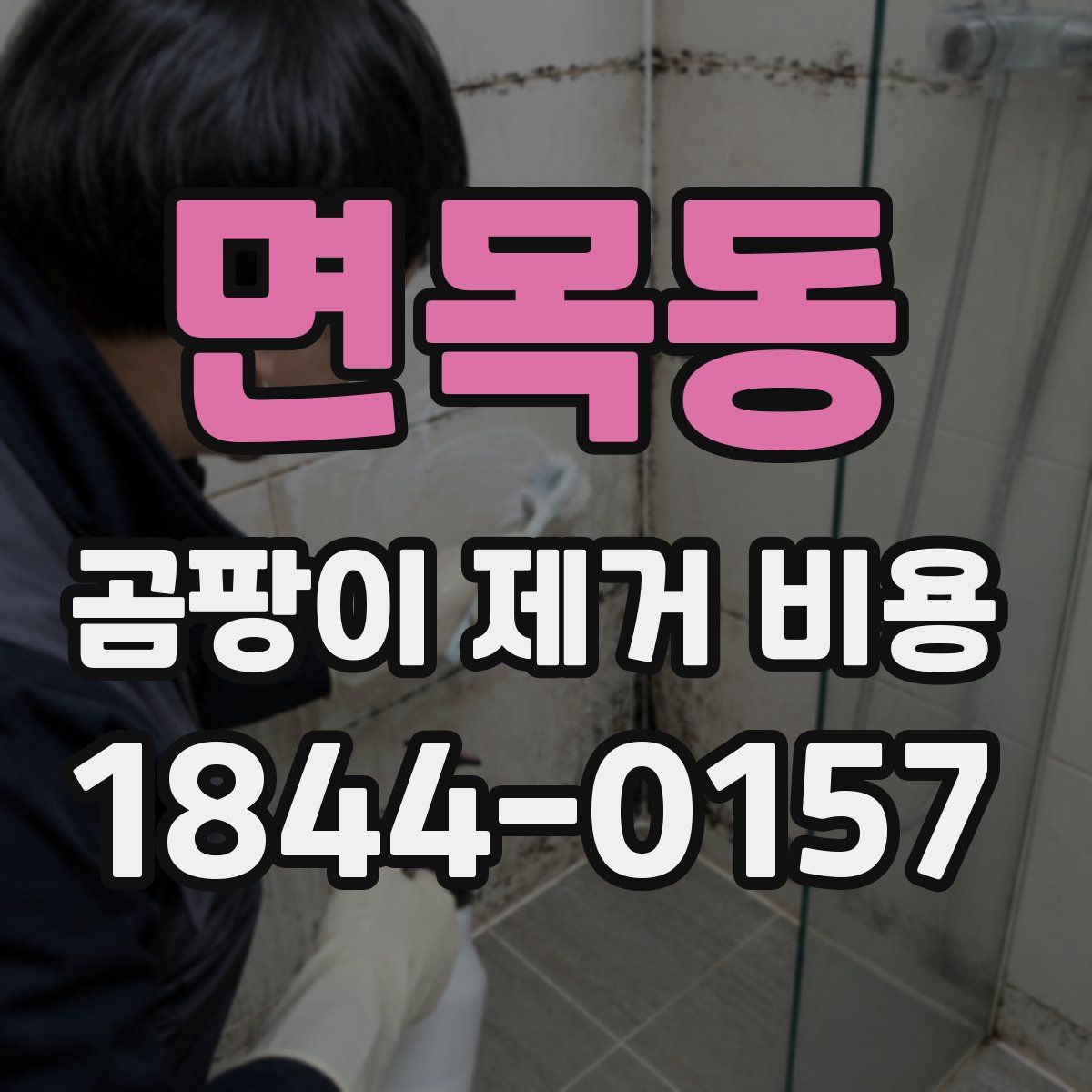 면목동 곰팡이 제거 비용