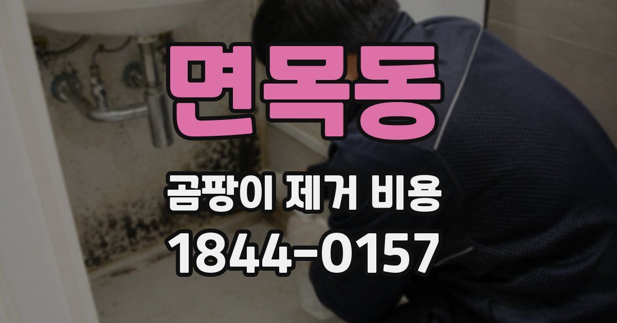 면목동 곰팡이 제거 비용