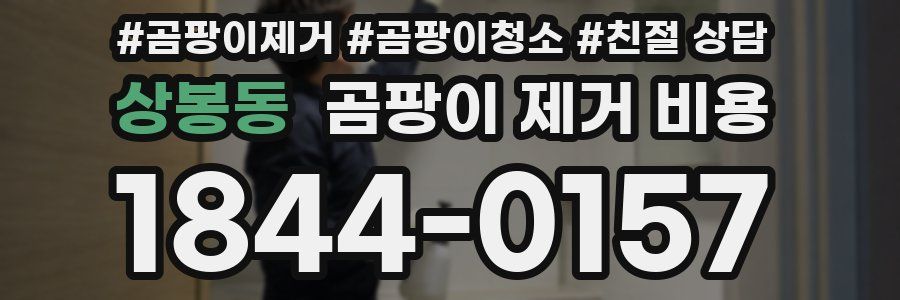 상봉동 곰팡이 제거 비용