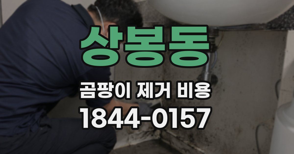 상봉동 곰팡이 제거 비용
