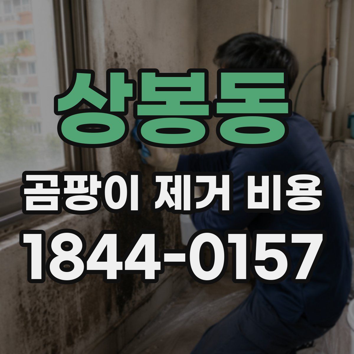 상봉동 곰팡이 제거 비용