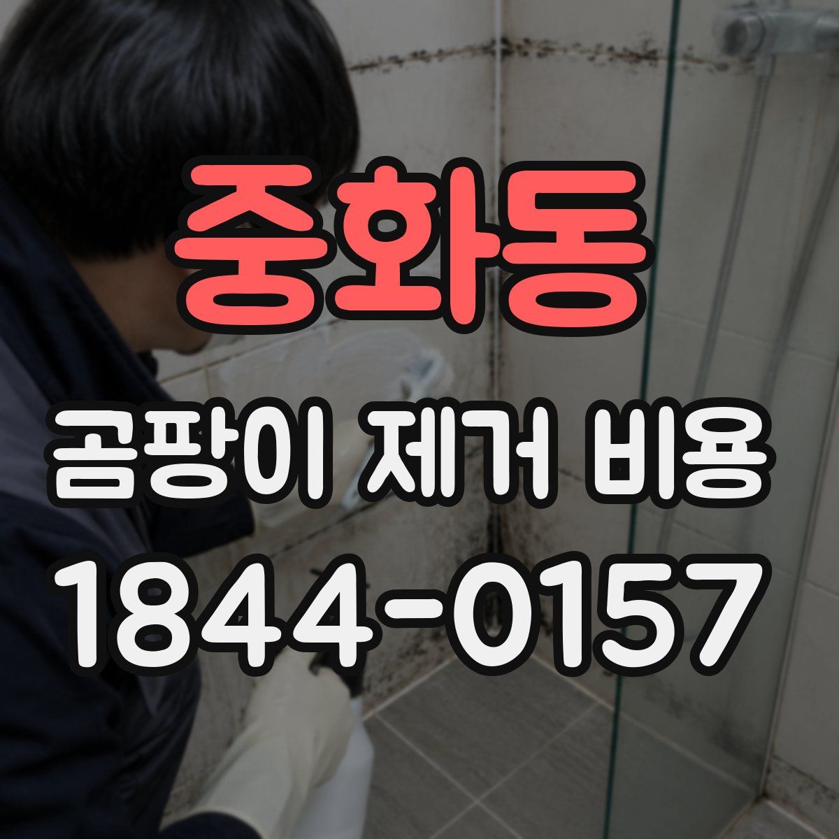 중화동 곰팡이 제거 비용
