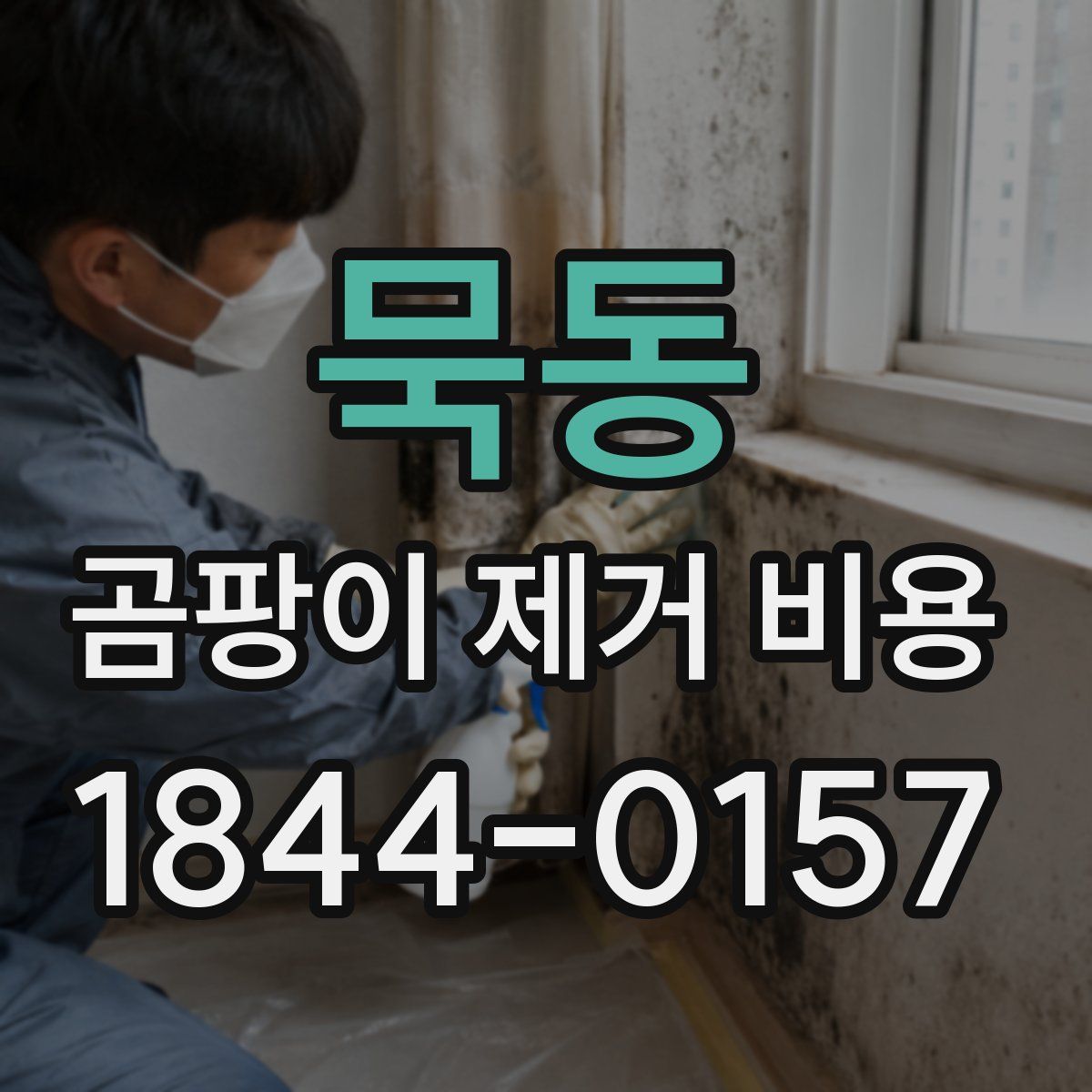 묵동 곰팡이 제거 비용