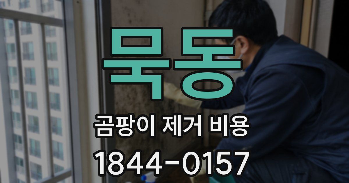 묵동 곰팡이 제거 비용