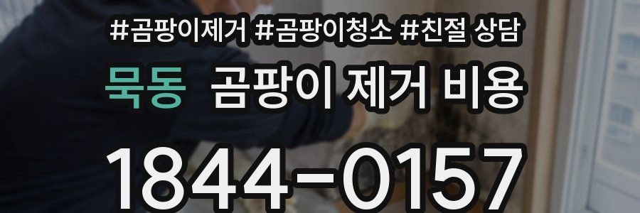 묵동 곰팡이 제거 비용